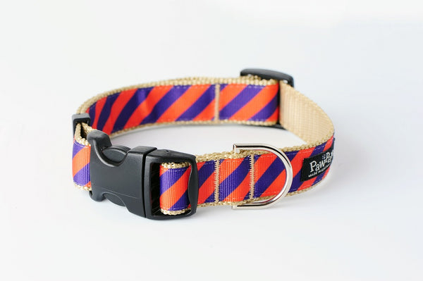 Collegiate - Clemson05 Dog Collar Tiger Rep Stripe