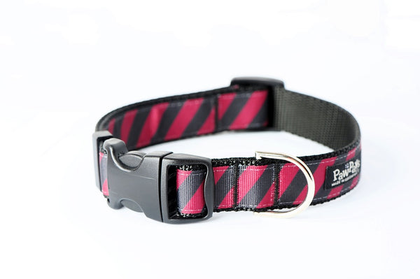 Collegiate - GameCocks06 Dog Collar Rep Pride Stripe