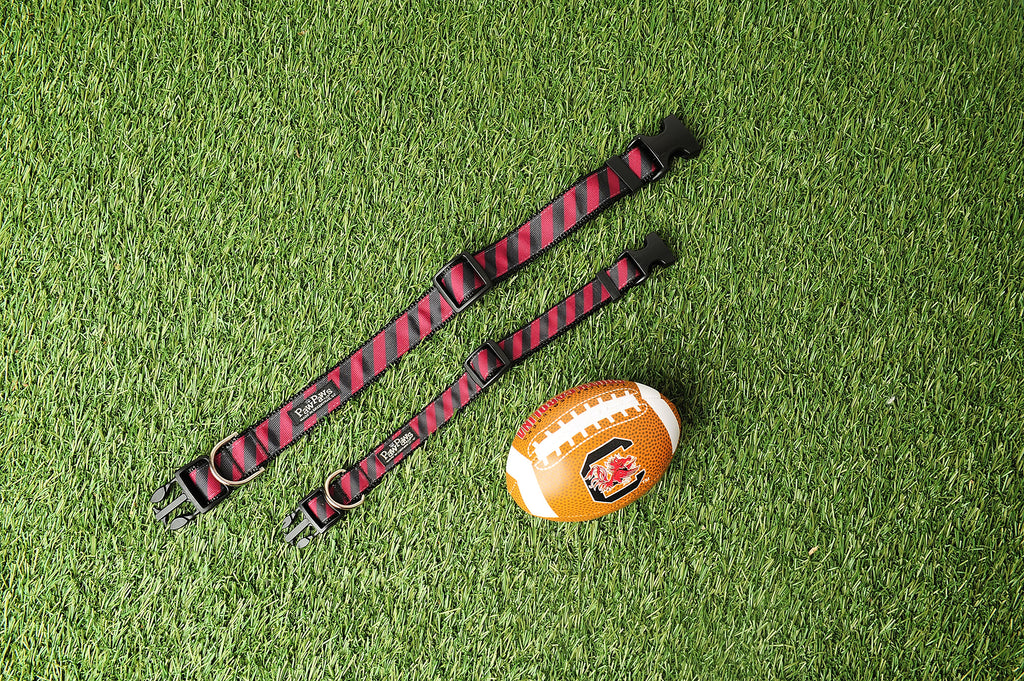 Collegiate - Gamecocks06 Dog Collar Rep Pride Stripe