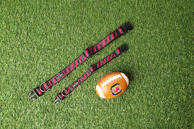 Collegiate - Gamecocks06 Dog Collar Rep Pride Stripe