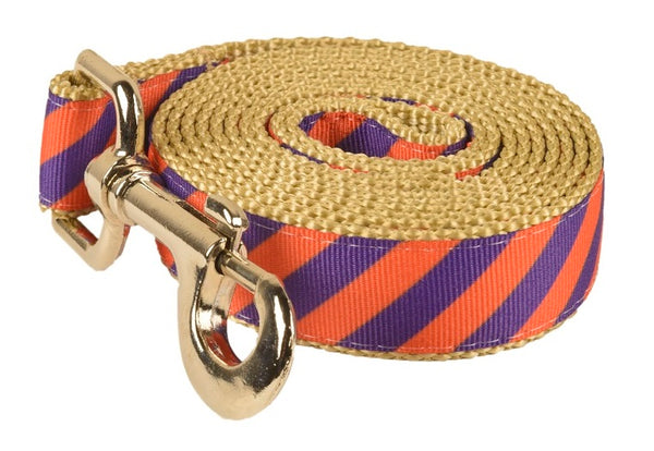 Collegiate - Clemson05 Dog Leash Tiger Rep Stripe