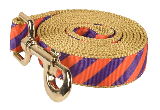 Collegiate - Clemson05 Dog Leash Tiger Rep Stripe