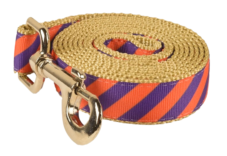 Collegiate - Clemson05 Dog Leash Tiger Rep Stripe