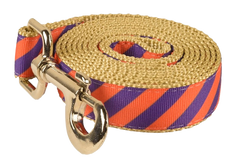 Collegiate - Clemson05 Dog Leash Tiger Rep Stripe