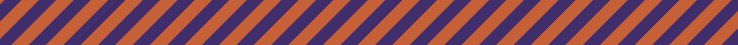 Collegiate - Clemson05 Dog Leash Tiger Rep Stripe
