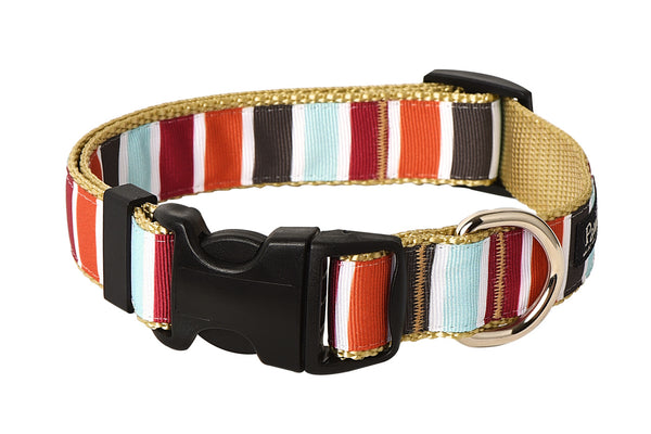 Hula Hoop Dog Collar - Hula Stripe on Tan