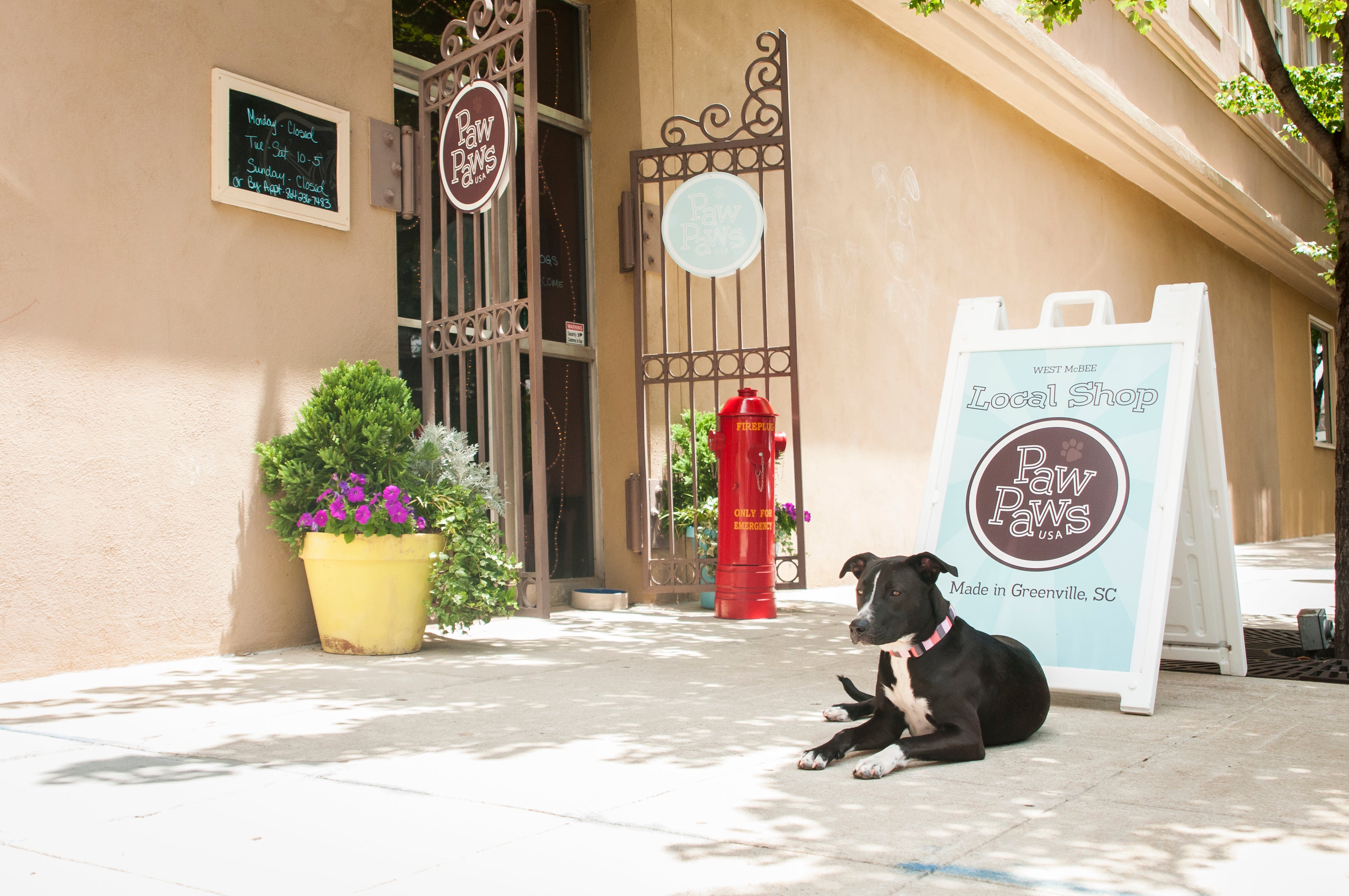 Paw Paws USA, pet store in Greenville