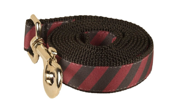 Collegiate - GameCocks06 Dog Leash Rep Pride Stripe