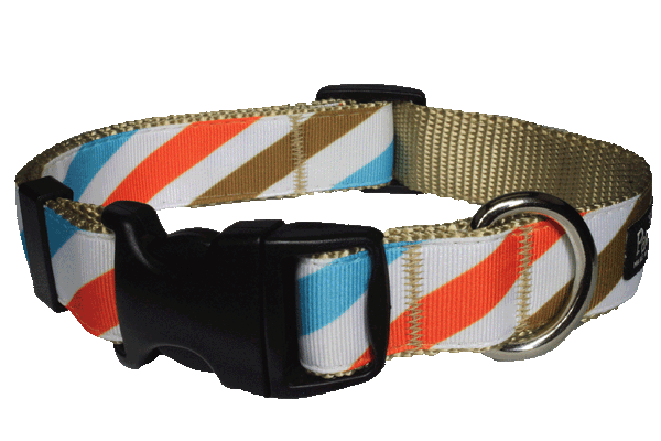 Freshly Squeezed Dog Collar - Sunny Side Stripe on Tan