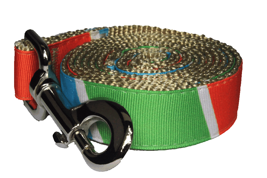 Freshly Squeezed Dog Leash - Sunkist Horizon