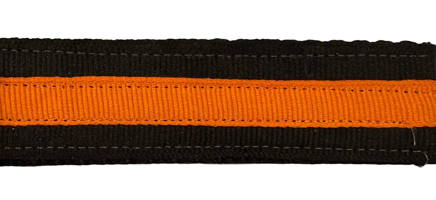 Halloween Dog Harness - Haunted House