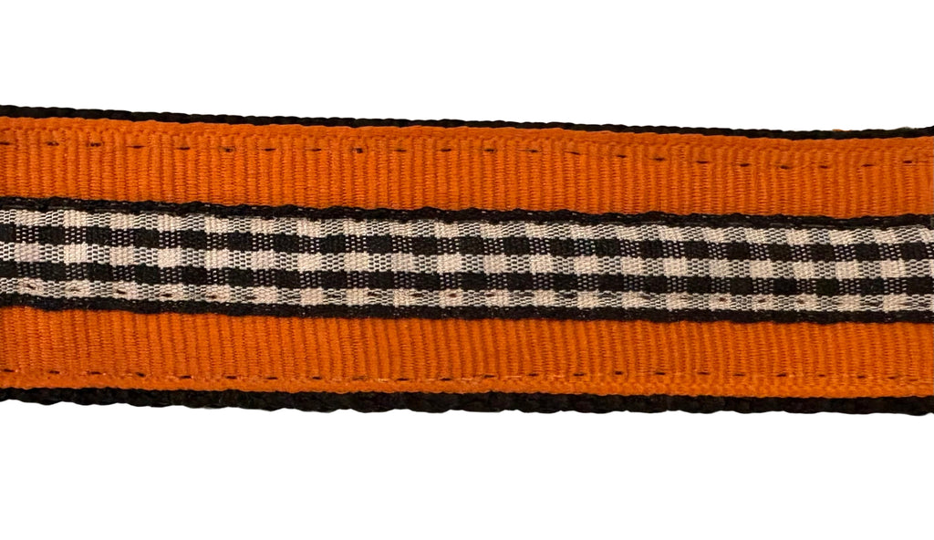 Halloween Dog Leash - Black Magic