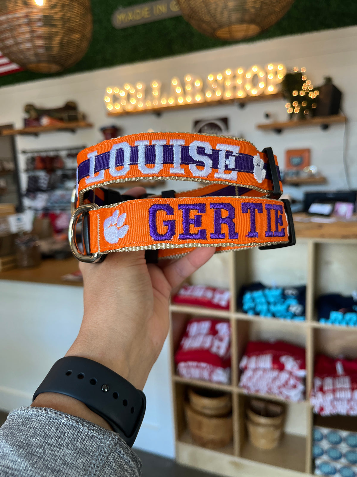 Collegiate - Clemson03 Dog Collar