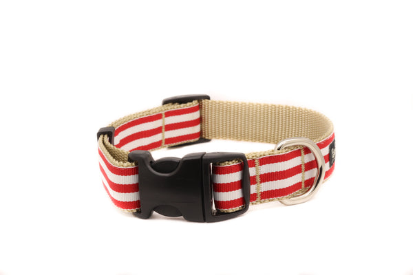 McBee Dog Collar - Red Cabana Stripe