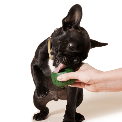 Pupsicle Treat Tray Xtra Large