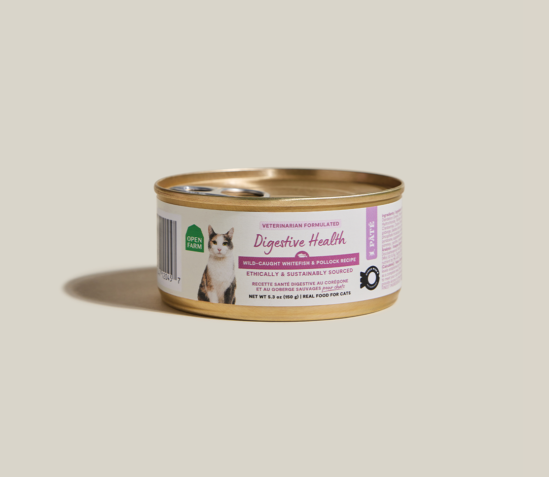 Wild-Caught Whitefish & Pollock Digestive Health Pâté for Cat