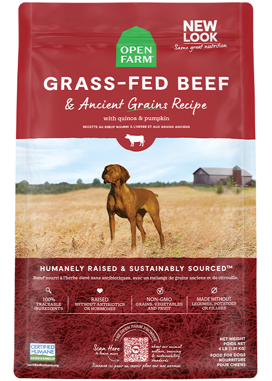 Open Farm Open Farm Grass-Fed Beef & Ancient Grains Dry Dog Food  4lb