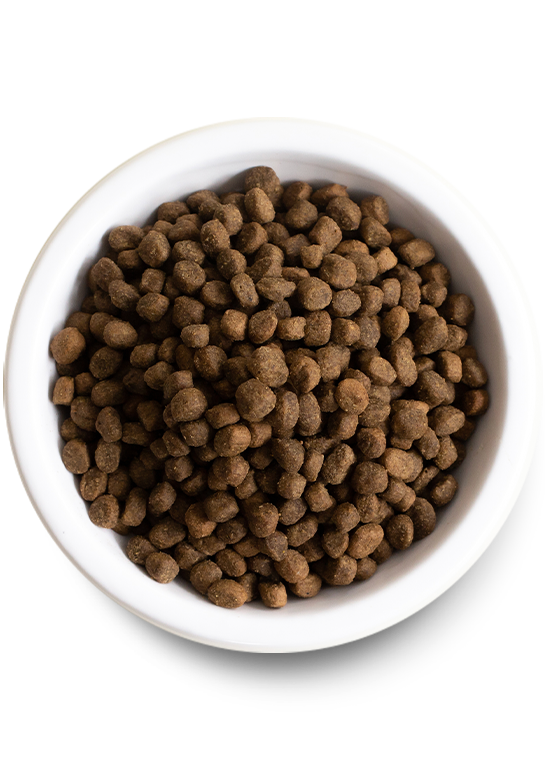 4lb Pasture-Raised Lamb & Ancient Grains Dry Dog Food