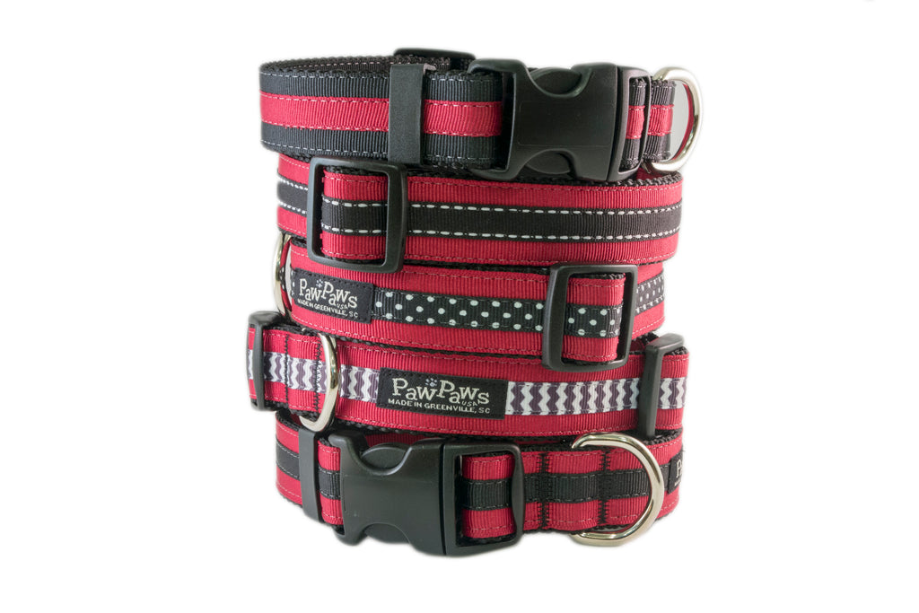 Collegiate - Gamecocks02 Dog Collar