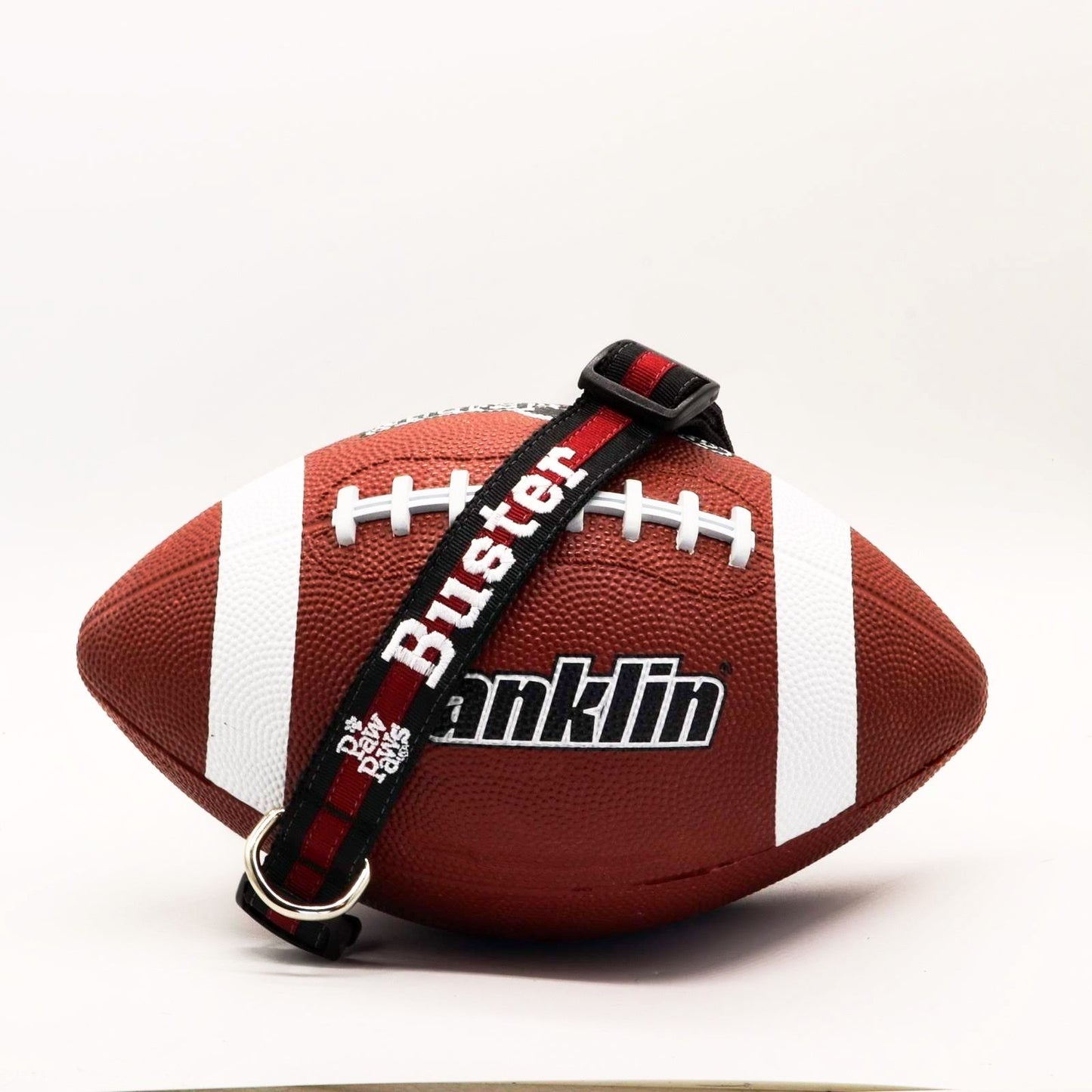 Collegiate - Gamecocks02 Dog Collar