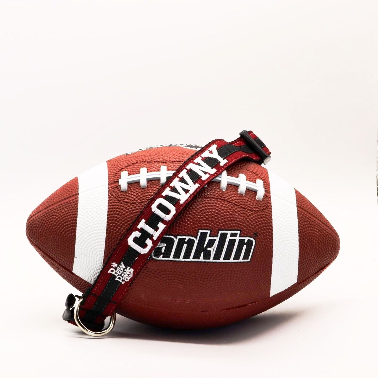 Collegiate - Gamecocks02 Dog Collar