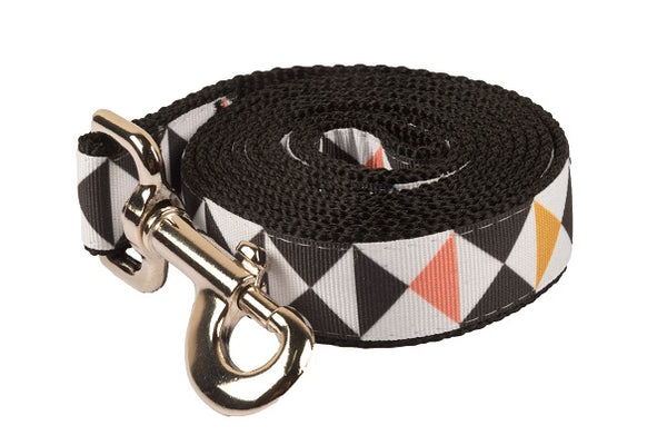 Geo Dog Leash - Random Trig