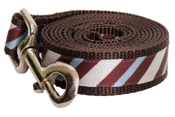 Chocolate Snow Cone Dog Leash-Stripe