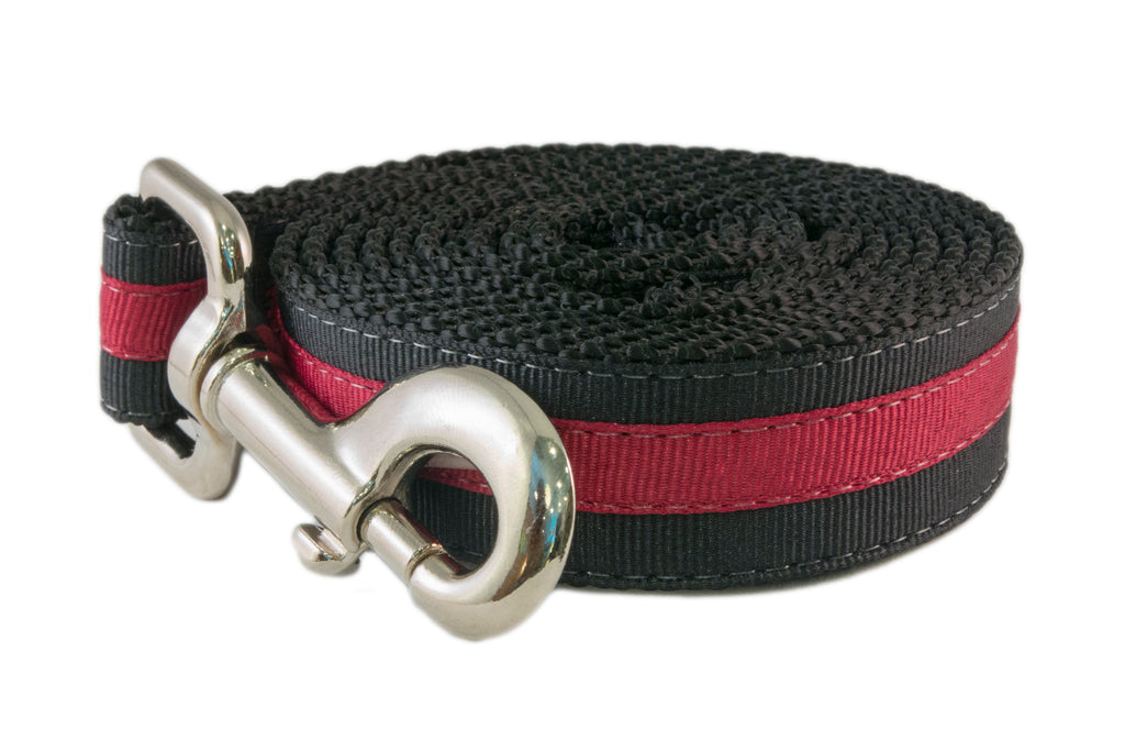 Collegiate - Gamecocks02 Dog Collar