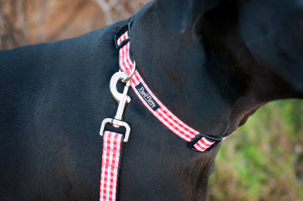 Picnic Basket Collar-Red