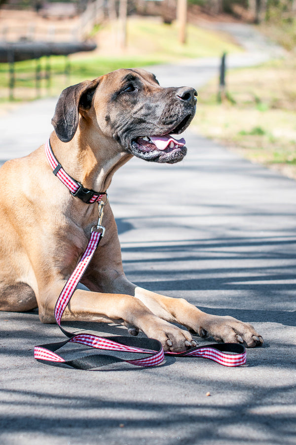 Paw Paws Picnic Basket Leash-Red