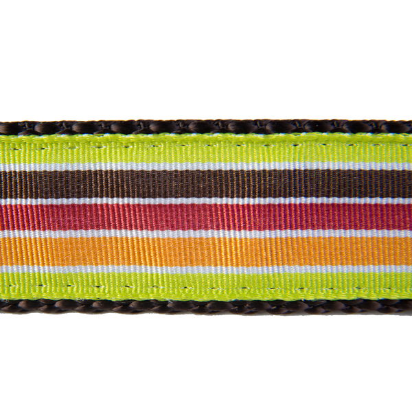 Margarita Mix Dog Collar - Mellow Yellow Stripe