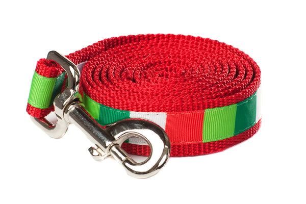 Christmas Morning Dog Leash - Be Merry Block