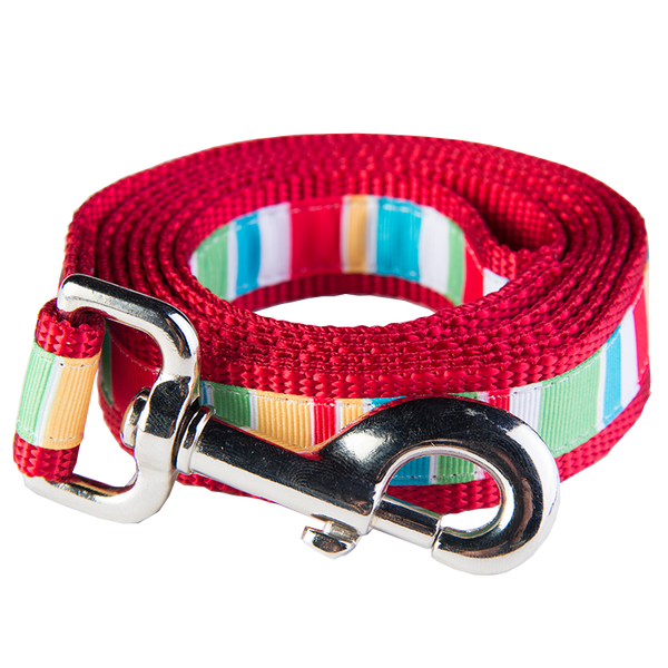 Bomb Pop Dog Leash - Push Up Stripe