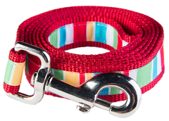 Bomb Pop Dog Leash - Push Up Stripe