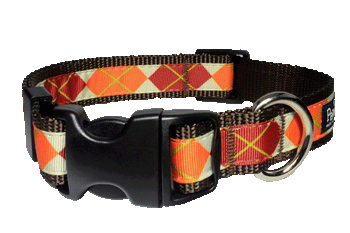 Pumpkin Spice Dog Collar - Pumpkin Argyle