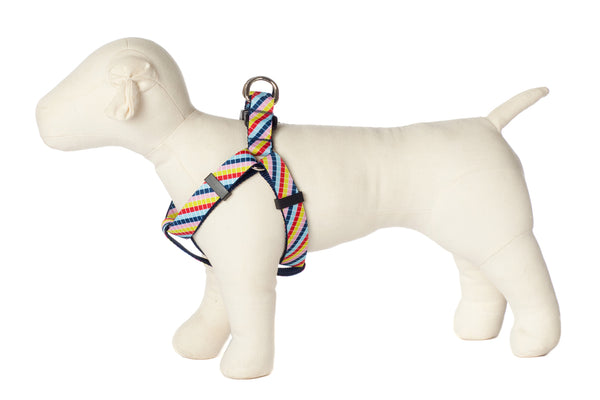 Bubble Gum Dog Harness - Mumbo Jumbo on Blue