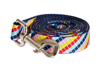 Bubble Gum Dog Leash - Mumbo Jumbo on Blue