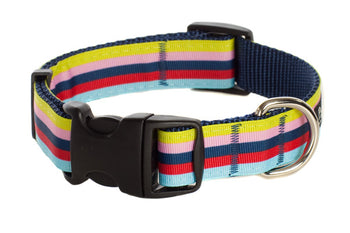 Bubble Gum Dog Collar - Yummy Gummy on Blue