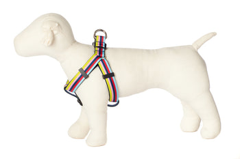 Bubble Gum Dog Harness - Yummy Gummy on Blue