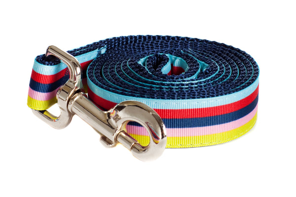 Bubble Gum Dog Leash - Yummy Gummy on Blue