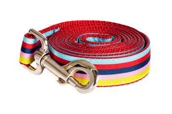 Bubble Gum Dog Leash - Yummy Gummy on Red