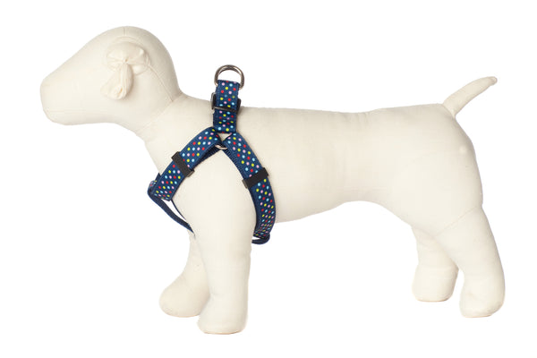 Bubble Gum Dog Harness - Tutti Frutti on Blue