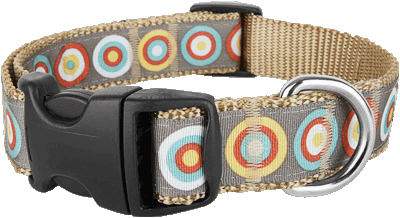 City Slicker Dog Collar - Bulls Eye