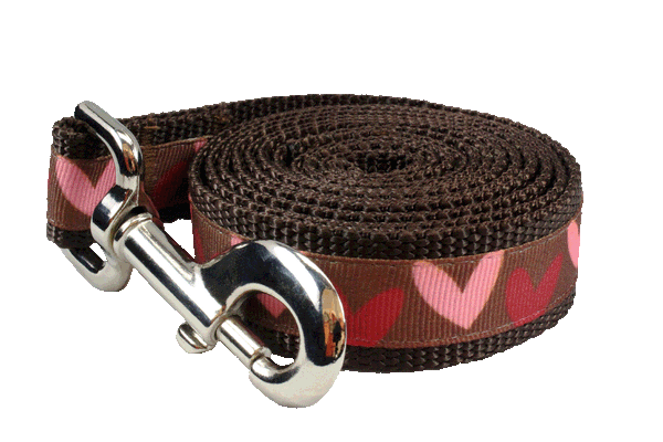 Valentines Dog Leash-Hearts