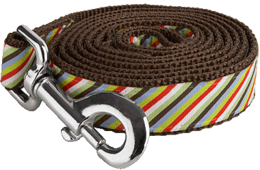 Bark Alley Dog Leash - Side Walk Stripe