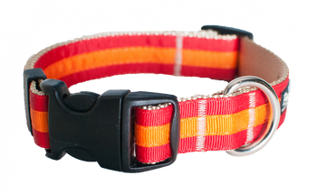 Prep School Dog Collar- Travis