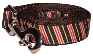 Coffee Break Dog Leash - Bean Counter