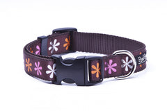 Sorbet Dog Collar-Flower Power