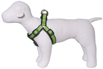 Pembroke Polka Dot Dog Harness-Lime