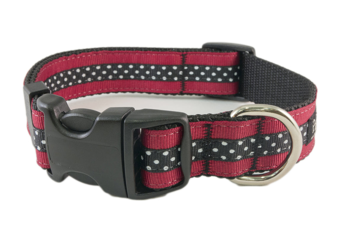 Collegiate - GameCocks04 Dog Collar